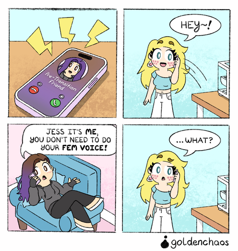 Comic #25 - Pre-Transition Friend