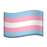 Trans pride flag
